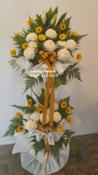 AACC8829 - 2 ties AACC8829 - 2 ties