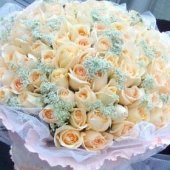 AHR1427 - Champagne roses AHR1427 - Champagne roses