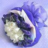AHR1464 - White roses AHR1464 - White roses