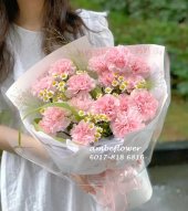 AHB9216 - Carnations AHB9216 - Carnations