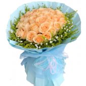 AHR1439 - Champagne roses AHR1439 - Champagne roses