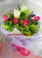 AHM589 AHM589