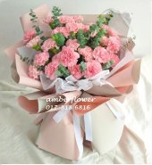 AHB9295 - Pink Carnations AHB9295 - Pink Carnations
