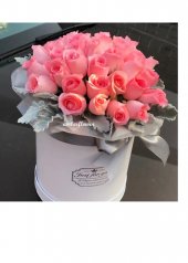 Abox9927 - Pink roses Abox9927 - Pink roses
