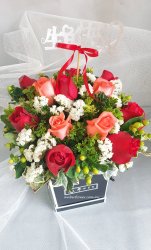 Abox9931 (Abox) Abox9931 (Abox)