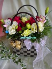 ACD594 ACD594