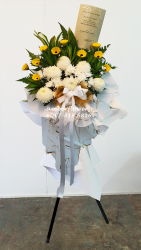 AACC8806 AACC8806