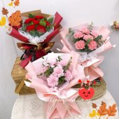 AHB9343 - Carnations AHB9343 - Carnations