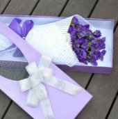 Abox9957 (Purple Static) Abox9957 (Purple Static)
