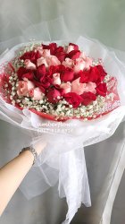 AHB9219 AHB9219