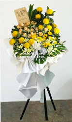 AACC8816 AACC8816