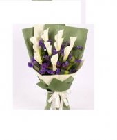 AHL563 (Calla lilies) AHL563 (Calla lilies)