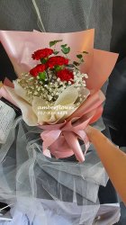 AHB9272 - Red carnations AHB9272 - Red carnations