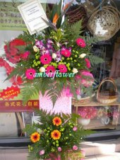 AOP493 - 2 ties AOP493 - 2 ties
