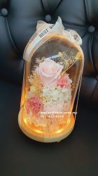 APF9988 - Preserved flowers APF9988 - Preserved flowers