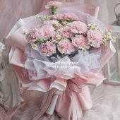 AHB9284 - Carnations AHB9284 - Carnations