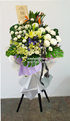 AACC8817 AACC8817