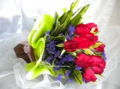 AHR1433 - Red roses AHR1433 - Red roses