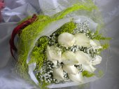AHR1441 - White roses AHR1441 - White roses